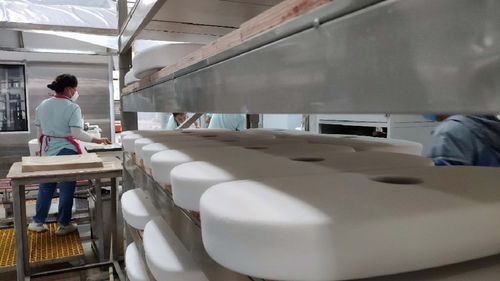 永川帝王洁具智能卫浴生产项目 打造全国最大智能马桶工厂及安装服务新标杆