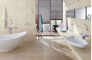 常用卫浴洁具性能及特点分析及安装服务